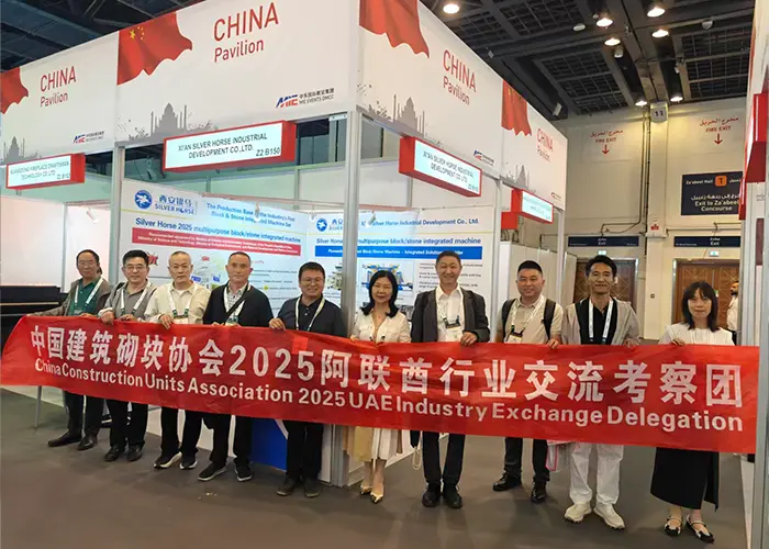 China Construction Brick Association 2025 Emiratele Arabe Unite ale schimbului de industrie și echipă de inspecție